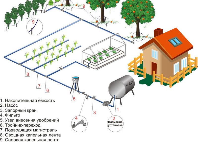 Схема капельного орошения сада