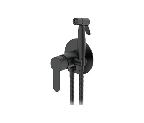 Смеситель для биде F72801-6 нержавеющая сталь, гигиенический душ со смесителем FRAP