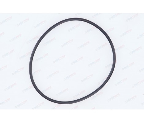 Кольцо уплотнительное для корпуса BB Гейзер