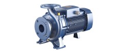 Центробежный насос Fm 50/125С Pedrollo