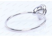Полотенцедержатель Кольцо LR1505 Zerix