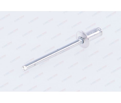 Заклепки 3,2х 6 Santool