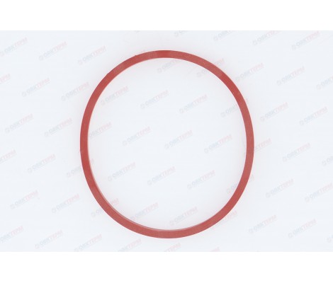 Кольцо уплотнительное 085-091-36 Гейзер
