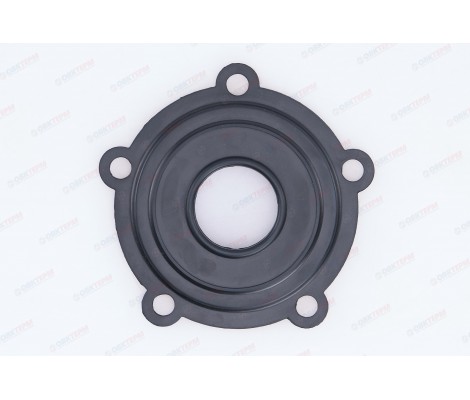 Уплотнительная прокладка RCF, ER/ES, &Oslash;115мм, 5 лепестков