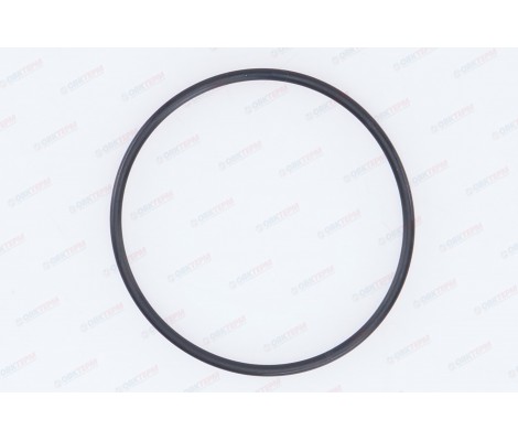 Кольцо уплотнительное для корпуса фильтра Гейзер-1Г мех Гейзер Кольцо уплотнительное для корпуса фильтра Гейзер-1Г мех Гейзер