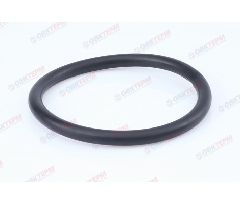 Кольцо резиновое 100 Итал