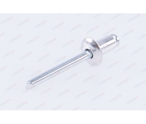 Заклепки 4,8х8 Santool