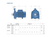 Центробежный насос CPm 160 B Pedrollo