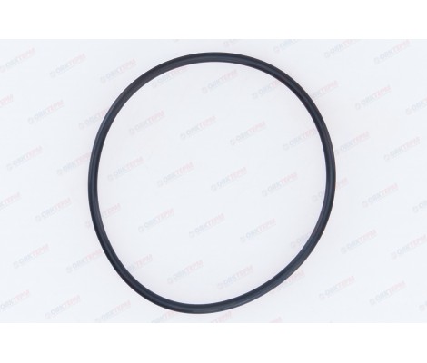 Кольцо уплотнительное для корпуса SL Гейзер Кольцо уплотнительное для корпуса SL Гейзер