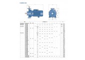 Центробежный насос поверхностный F 40/250 B Pedrollo