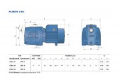 Центробежный насос поверхностный JSWm 2AX Pedrollo
