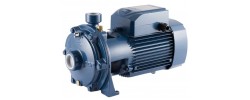 Центробежный насос 2 CPm 25/14A Pedrollo