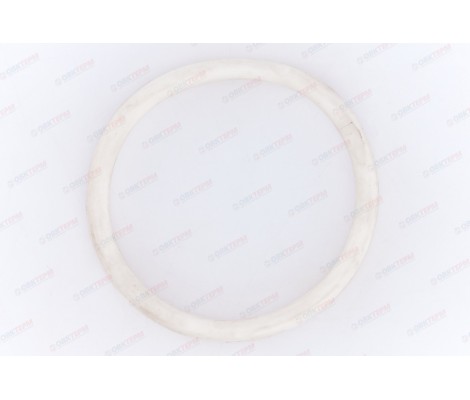 Уплотнительное кольцо для фильтров под котел Аквамаг