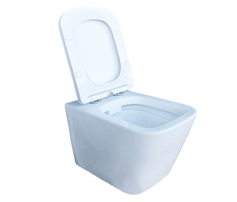 Унитаз подвесной SM9310 безободковый, сиденье тонкое ДП Eva Gold